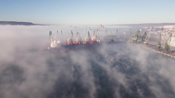 Вид Воздуха Крупногабаритного Грузового Судна Порту Тумане Загружается Зерном Пшеницы — стоковое видео