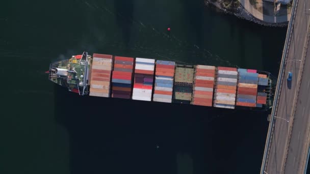 Velká Kontejnerová Loď Pohybuje Přes Záliv Pod Dálničním Mostem Hustým — Stock video