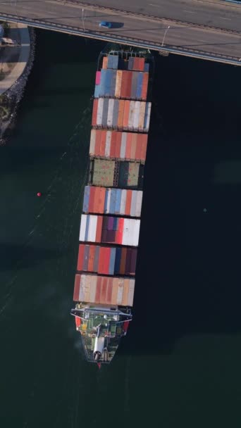 Velká Kontejnerová Loď Pohybuje Přes Záliv Pod Dálničním Mostem Hustým — Stock video