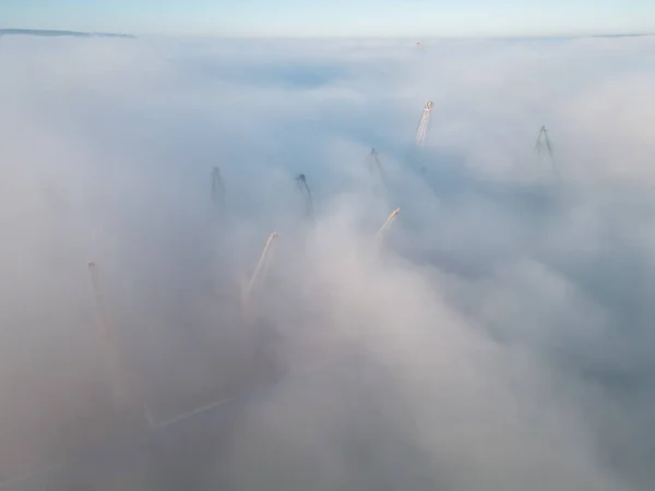 Drone flight over the cranes in port industrial zone in early morning fog
