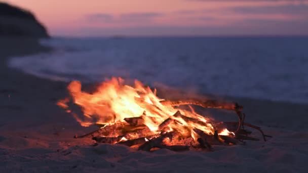 Beach Bonfire Selective Focus Beautiful Sunset Sunrise Nobody — Vídeo de Stock