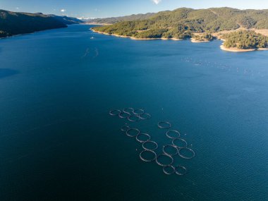 Nehir manzaralı somon balığı çiftliği. Gölde balık yetiştirmek için büyük yuvarlak çitler..