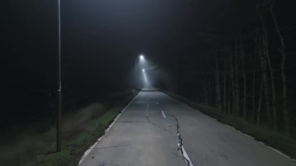 Поездка Сельской Лесной Дороге Тумане Ночью Полет Дрона Видео — стоковое видео