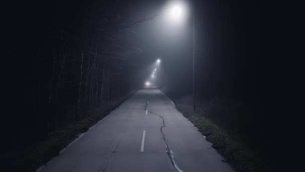 Поездка Сельской Лесной Дороге Тумане Ночью Полет Дрона Видео — стоковое видео
