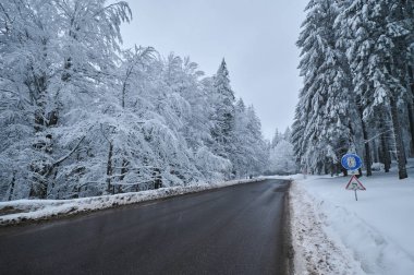 winter road in the snowy forest in the mountains