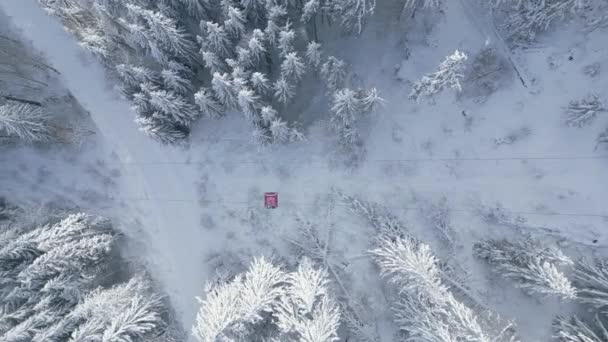 Moderní Lyžařský Vlek Gondola Proti Zasněženému Jedlovému Lesu Horám Žádní — Stock video