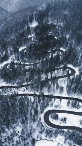 Aerial Top View Winter Winding Road Dense Forest Transylvania Romania — Wideo stockowe