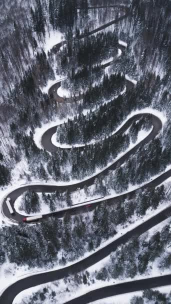 Aerial Top View Winter Winding Road Dense Forest Transylvania Romania — 图库视频影像