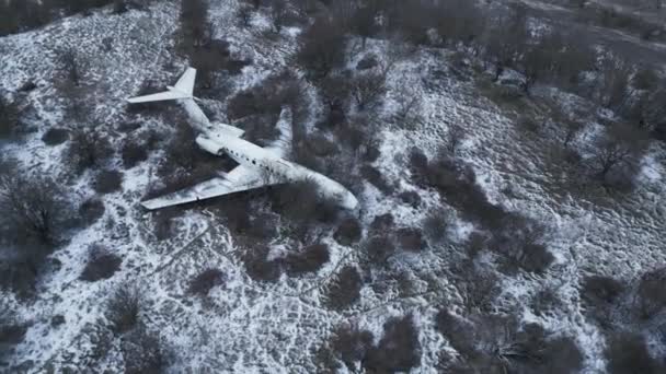 Εγκαταλελειμμένο Συνετρίβη Αεροπλάνο Ναυάγιο Στο Δάσος Χειμώνα — Αρχείο Βίντεο