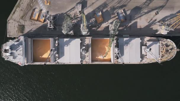 비디오는 북적거리는 항구에서 크레인을 이용하여 곡식을 운반차를 비디오는 과정의 관점을 — 비디오