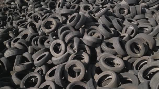 인상적 하향식 자동차 타이어의 덤프를 포착하여 부적절 타이어 처리의 환경적 — 비디오