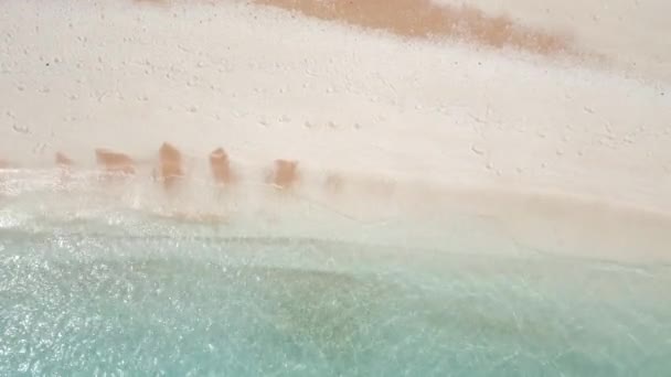 Het Strand Met Witte Marmeren Kiezels Turquoise Zee Het Griekse — Stockvideo