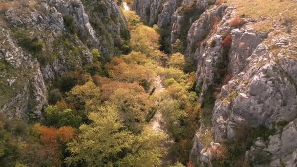 Bovenaanzicht Vanuit Lucht Aggitis Canyon Griekenland Biedt Een Adembenemend Uitzicht — Stockvideo