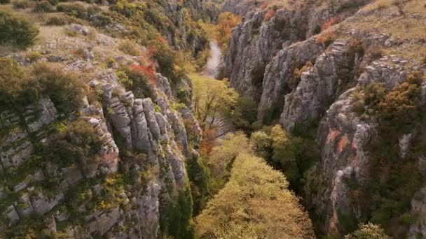 ギリシャのAggitis渓谷の空中トップビューは この自然の驚異を構成する巻き川 急な崖 緑豊かな植生の息をのむような空中ビューを提供しています — ストック動画