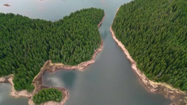 Uma Vista Aérea Superior Floresta Abetos Perto Big Lake Nas — Vídeo de Stock