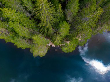 Bulgaristan 'ın Rodop Dağları' ndaki Büyük Göl yakınlarındaki köknar ormanının havadan görünüşü