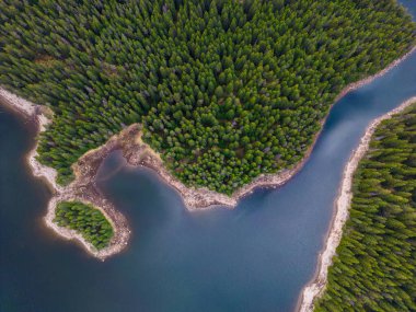 Bulgaristan 'ın Rodop Dağları' ndaki Büyük Göl yakınlarındaki köknar ormanının havadan görünüşü