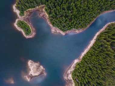 Bulgaristan 'ın Rodop Dağları' ndaki Büyük Göl yakınlarındaki köknar ormanının havadan görünüşü