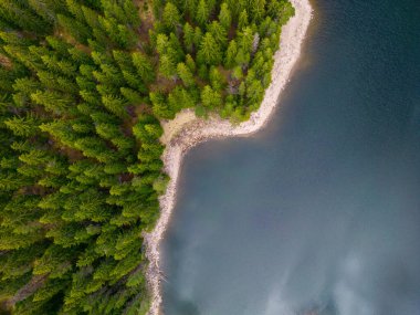 Bulgaristan 'ın Rodop Dağları' ndaki Büyük Göl yakınlarındaki köknar ormanının havadan görünüşü