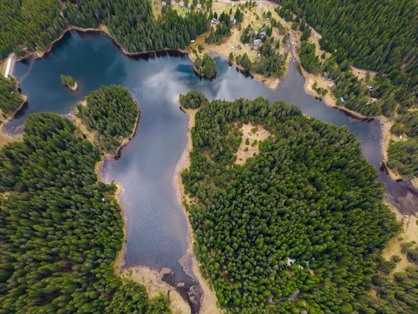 stock image An aerial top view of the fir forest near the Big Lake in the Rhodope Mountains of Bulgaria