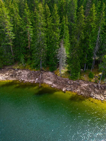 Una Vista Aérea Del Bosque Abetos Cerca Del Lago Grande — Foto de Stock