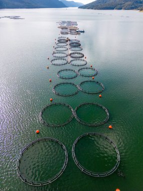 Yuvarlak çitlerin havadan görünüşü genellikle göllerin doğal ortamında alabalık yetiştirmek için kullanılır. Bu yapılar balıklar için kontrollü bir ortam sağlarken, aynı zamanda