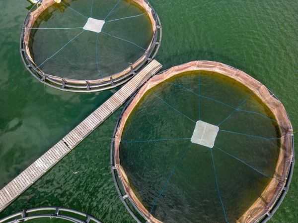 湖の自然環境で繁殖するマスには 丸メッシュフェンスの空中トップビューが一般的に使用されています これらの構造物は魚のための制御された環境を提供するだけでなく — ストック写真