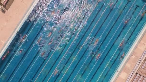 Het Open Sportzwembad Glinsterde Onder Felle Zon Terwijl Mensen Het — Stockvideo