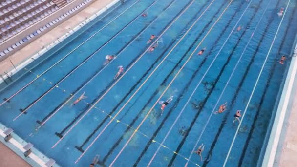 Open Sports Swimming Pool Glistened Bright Sun People Swimming Its — Stock Video