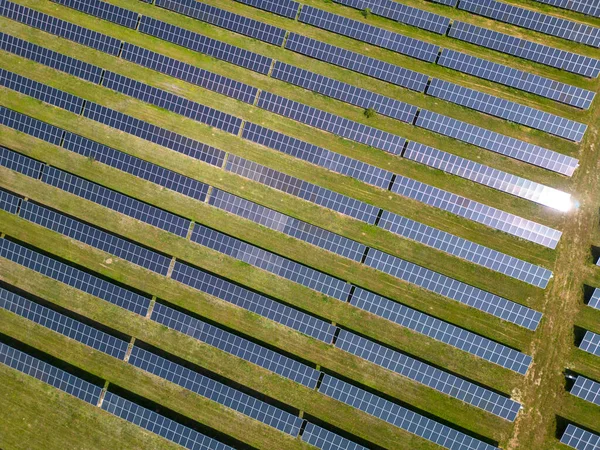 Meio Prado Exuberante Floresta Painéis Solares Estão Altos Aproveitando Energia — Fotografia de Stock