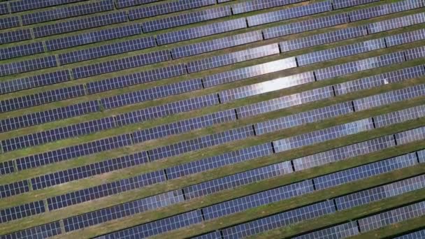 Bereketli Bir Çayır Ormanın Ortasında Güneş Panelleri Güneşin Enerjisinden Yararlanmak — Stok video