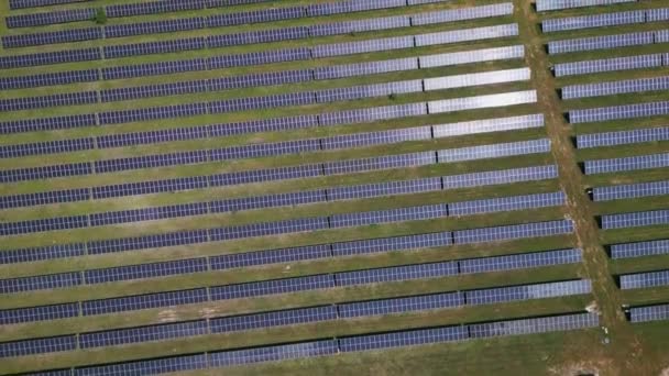 Meio Prado Exuberante Floresta Painéis Solares Estão Altos Aproveitando Energia — Vídeo de Stock