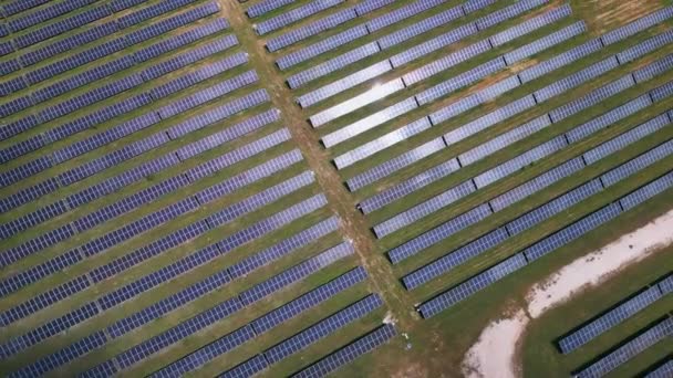 Mezzo Prato Lussureggiante Bosco Pannelli Solari Sono Alti Sfruttando Energia — Video Stock