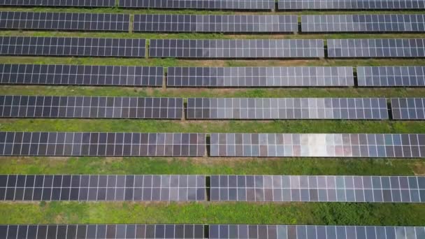 Mezzo Prato Lussureggiante Bosco Pannelli Solari Sono Alti Sfruttando Energia — Video Stock