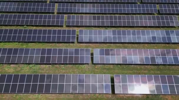 Uprostřed Bujné Louky Lesa Stojí Solární Panely Vysoké Využívají Sluneční — Stock video