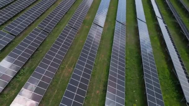 Uprostřed Bujné Louky Lesa Stojí Solární Panely Vysoké Využívají Sluneční — Stock video