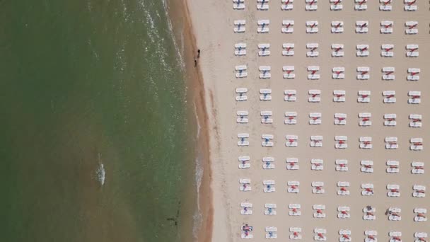 Una Playa Arena Extiende Largo Costa Adornada Con Tumbonas Vacías — Vídeo de stock