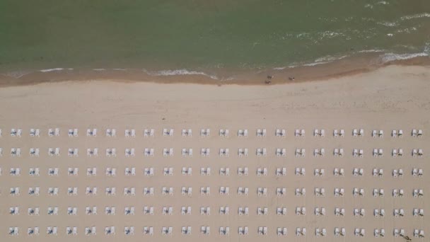 Піщаний Пляж Простягається Вздовж Узбережжя Прикрашений Порожніми Шезлонгами Повітряної Точки — стокове відео