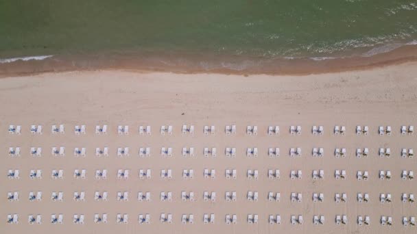 Ein Sandstrand Erstreckt Sich Entlang Der Küste Geschmückt Mit Leeren — Stockvideo