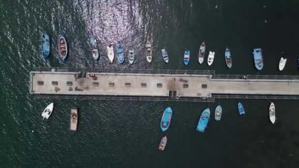 Une Vue Aérienne Quai Les Bateaux Pêche Sont Amarrés Créant — Video