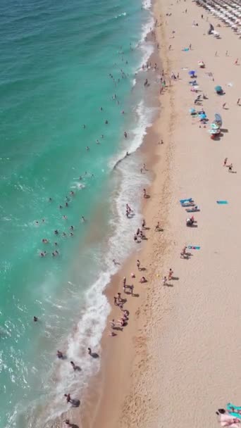 Vista Aérea Superior Bulgarias Golden Sands Resort Durante Temporada Verão — Vídeo de Stock