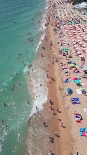 Anténní Pohled Letovisko Bulgarias Golden Sands Během Letní Sezóny Řada — Stock video