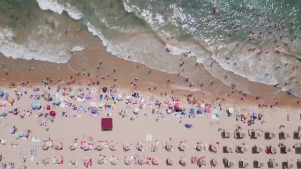 夏季澳大利亚金沙度假胜地的空中俯瞰 各种各样的酒店 游泳池和人群欣赏大海 — 图库视频影像