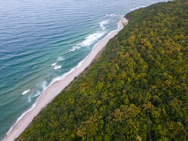 Vista Aérea Superior Uma Bela Praia Com Uma Floresta Areia — Fotografia de Stock