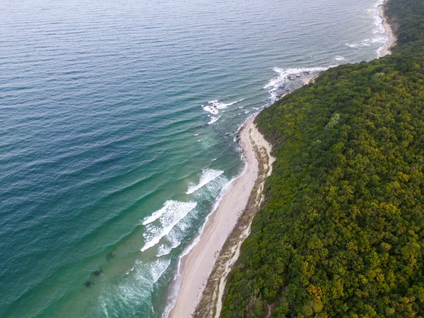 Bovenaanzicht Vanuit Lucht Een Prachtig Strand Met Bos Zand — Stockfoto