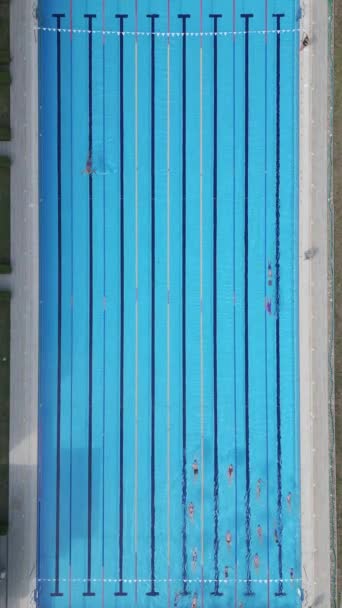 You Can See Group Swimmers Training Sports Pool Aerial View — Stock Video