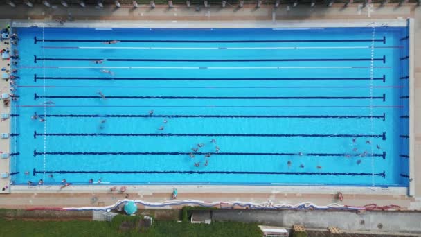 Dall Alto Puoi Vedere Gruppo Nuotatori Allenarsi Una Piscina Sportiva — Video Stock