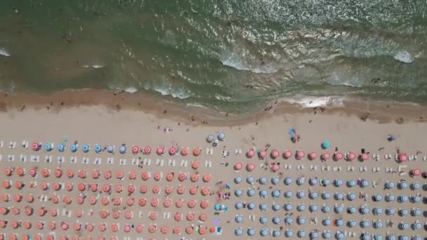 Letecký Pohled Shora Středisko Bulgarias Albena Sands Během Letní Sezóny — Stock video
