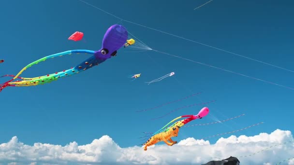 Bunte Drachen Steigen Bei Einem Drachenfest Den Blauen Himmel Und — Stockvideo