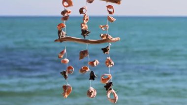 Mavi deniz tarafından rüzgarda sallanan deniz kabukları doğanın yumuşak melodisini yaratır..